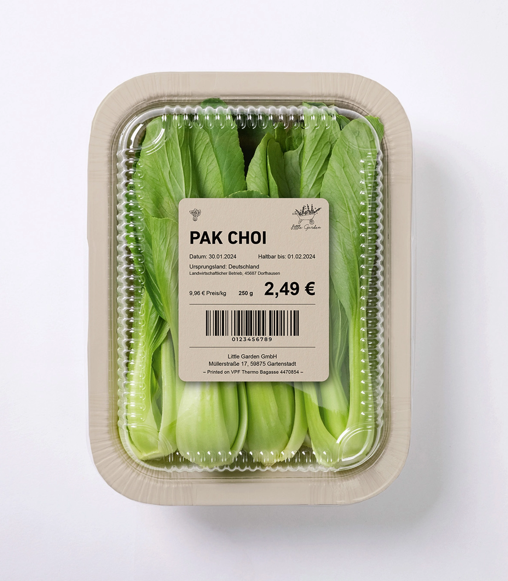 Bagasse paper